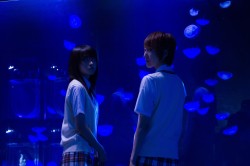 �W�F���[�E�t�B�b�V��/Jellyfish