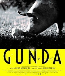 GUNDA�^�O���_