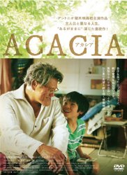 ACACIA�i�A�J�V�A�j