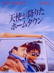 �V�g���~�肽�z�[���^�E��