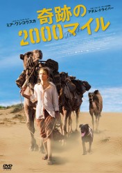 ��Ղ�2000�}�C��