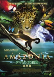 AMAZONIA �A�}�]�j�A �A�}�]����`��