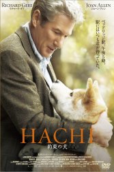 HACHI �񑩂̌�