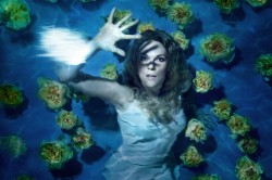 �h���H���U�[�N �჋�T���J�� �V���o MET���C�u�r���[�C���O 2016-2017