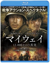 �}�C�E�F�C 12,000�L���̐^��