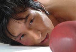 HERO�H�V�g�Ɉ����΁c