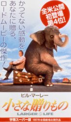 �����ȑ������