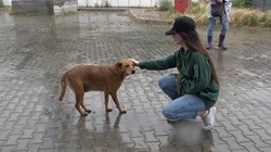 ���Ɛ푈  �E�N���C�i�Ŏ�����������