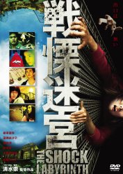 ��ɖ��{3D THE SHOCK LABYRINTH