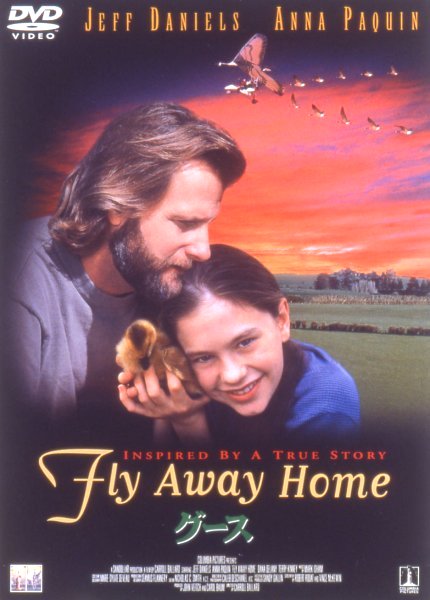 �O�[�X