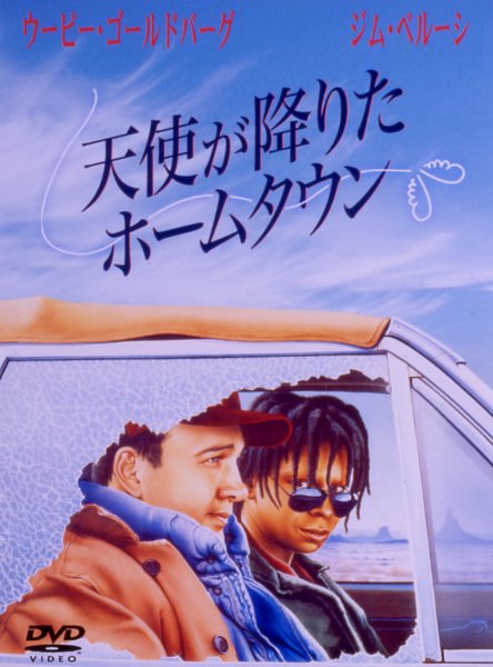 �V�g���~�肽�z�[���^�E��