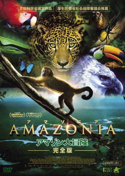 AMAZONIA �A�}�]�j�A �A�}�]����`��