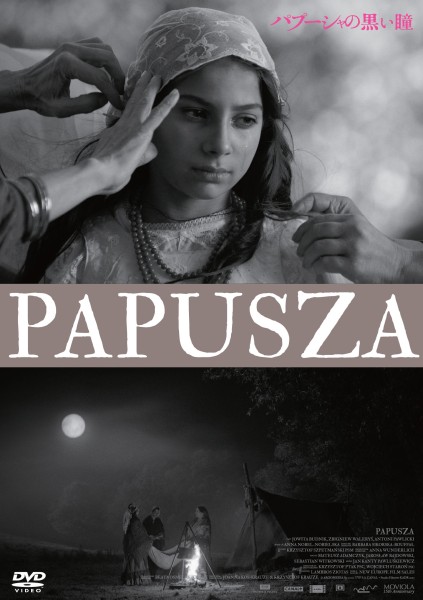 �p�v�[�V���̍�����