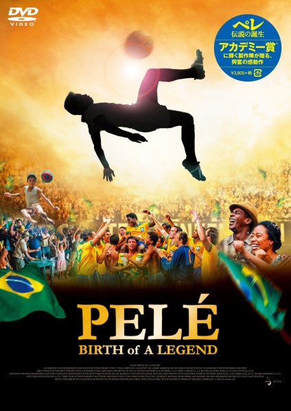 �y�� �`���̒a��