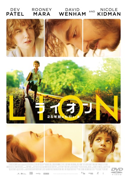 LION�^���C�I�� 25�N�ڂ̂�������