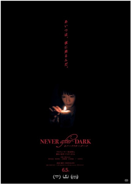 Never After Dark  �l�o�[�A�t�^�[�_�[�N
