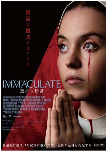 IMMACULATE  ���Ȃ�ٓ�